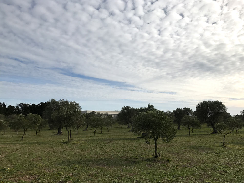 The Masseria and the apartments: from the restoration of Umberto Riva to the tourist accommodation